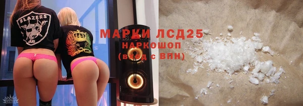 стаф Алзамай