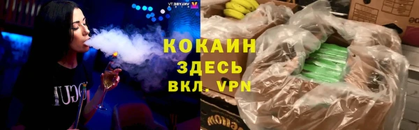 стаф Алзамай