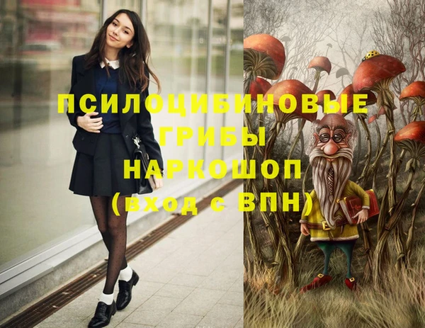 дмт Алексин