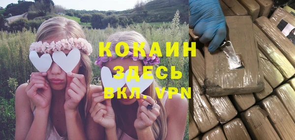 стаф Алзамай