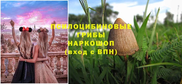 дмт Алексин