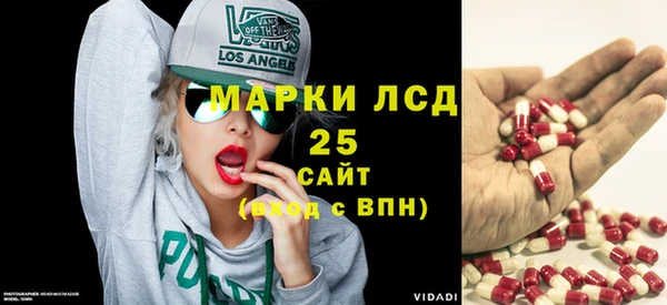 стаф Алзамай