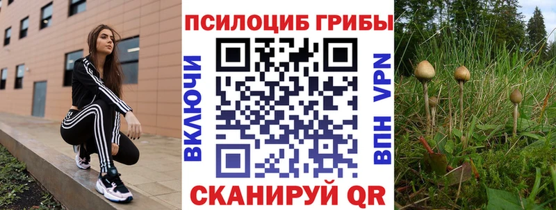 Псилоцибиновые грибы MAGIC MUSHROOMS  гидра зеркало  Заводоуковск  закладки 